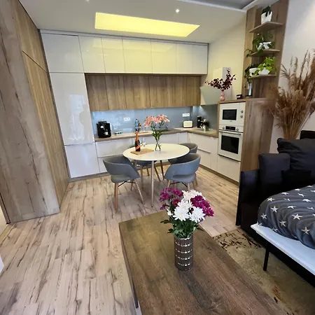 公寓 Cozy Close To The Center 布拉迪斯拉发
